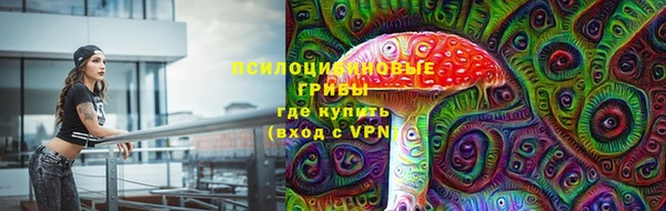 дурь Аркадак